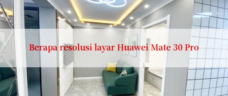 Berapa resolusi layar Huawei Mate 30 Pro