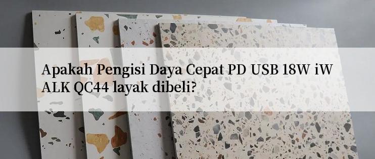 Apakah Pengisi Daya Cepat PD USB 18W iWALK QC44 layak dibeli?