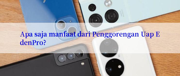 Apa saja manfaat dari Penggorengan Uap EdenPro?