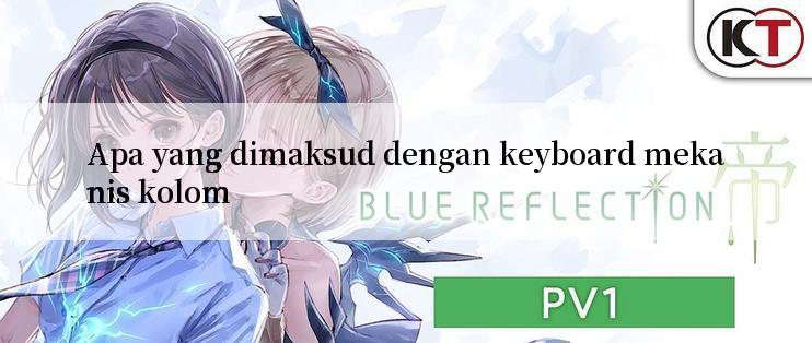 Apa yang dimaksud dengan keyboard mekanis kolom