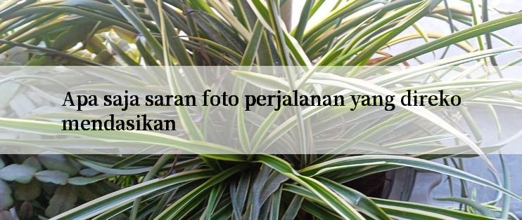 Apa saja saran foto perjalanan yang direkomendasikan