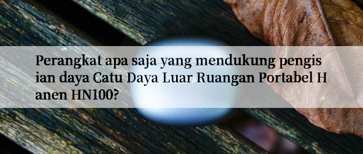 Perangkat apa saja yang mendukung pengisian daya Catu Daya Luar Ruangan Portabel Hanen HN100?