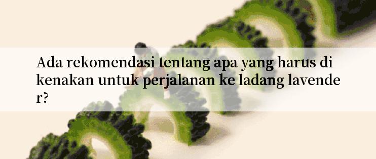 Ada rekomendasi tentang apa yang harus dikenakan untuk perjalanan ke ladang lavender?