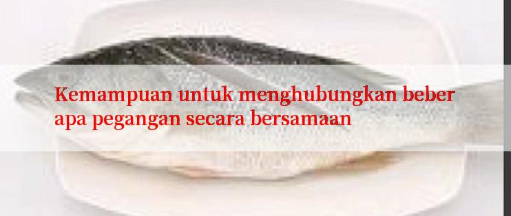 Kemampuan untuk menghubungkan beberapa pegangan secara bersamaan