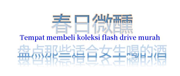 Tempat membeli koleksi flash drive murah