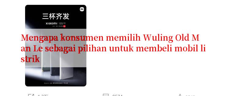 Mengapa konsumen memilih Wuling Old Man Le sebagai pilihan untuk membeli mobil listrik