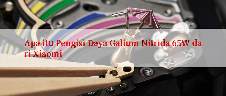 Apa itu Pengisi Daya Galium Nitrida 65W dari Xiaomi