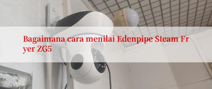 Bagaimana cara menilai Edenpipe Steam Fryer ZG5