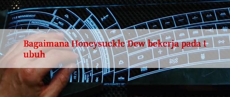 Bagaimana Honeysuckle Dew bekerja pada tubuh