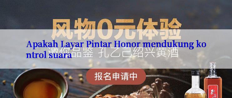 Apakah Layar Pintar Honor mendukung kontrol suara