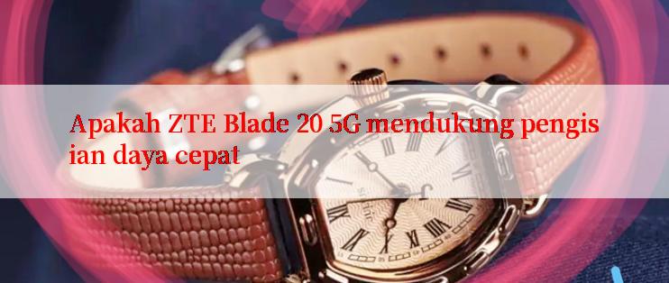 Apakah ZTE Blade 20 5G mendukung pengisian daya cepat