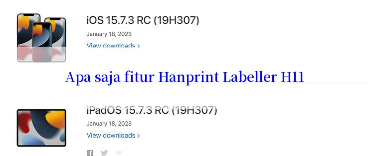 Apa saja fitur Hanprint Labeller H11