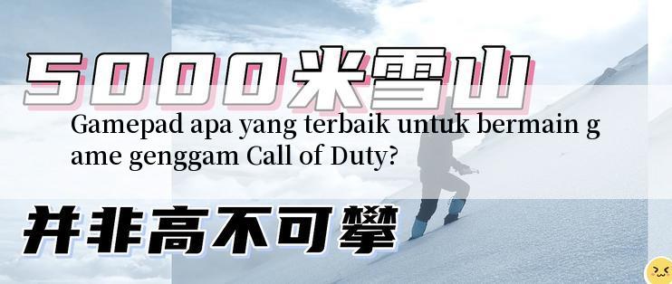 Gamepad apa yang terbaik untuk bermain game genggam Call of Duty?