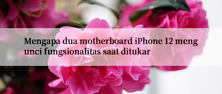 Mengapa dua motherboard iPhone 12 mengunci fungsionalitas saat ditukar