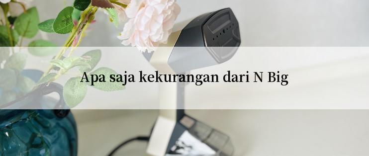 Apa saja kekurangan dari N Big