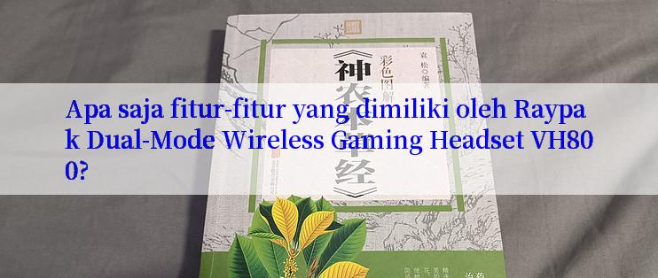 Apa saja fitur-fitur yang dimiliki oleh Raypak Dual-Mode Wireless Gaming Headset VH800?