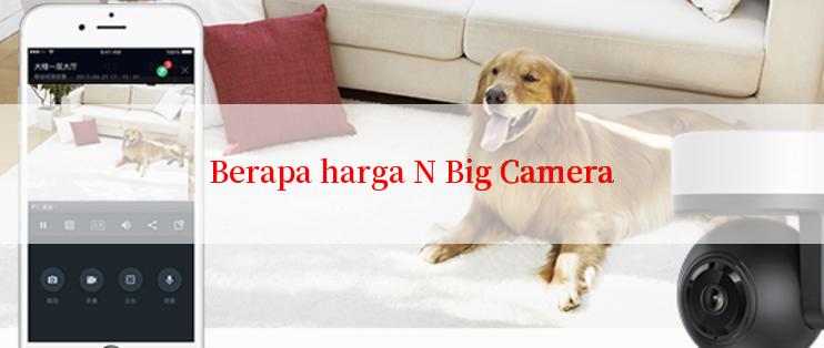 Berapa harga N Big Camera