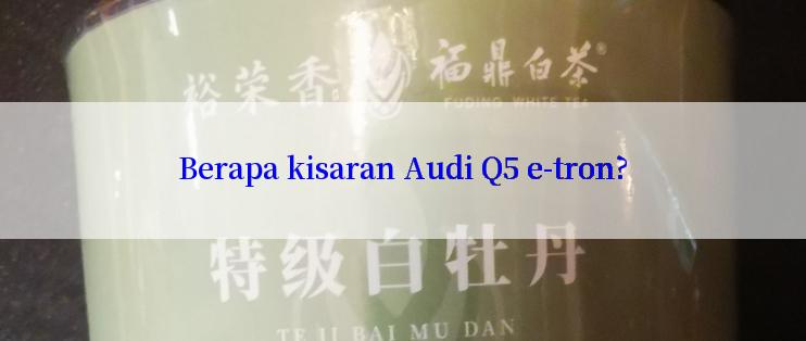 Berapa kisaran Audi Q5 e-tron?