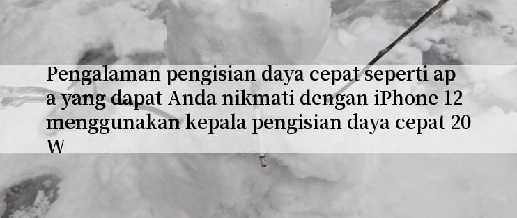 Pengalaman pengisian daya cepat seperti apa yang dapat Anda nikmati dengan iPhone 12 menggunakan kepala pengisian daya cepat 20W