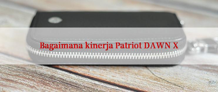 Bagaimana kinerja Patriot DAWN X