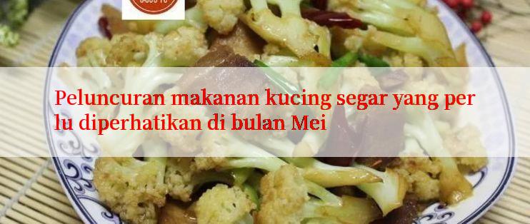 Peluncuran makanan kucing segar yang perlu diperhatikan di bulan Mei