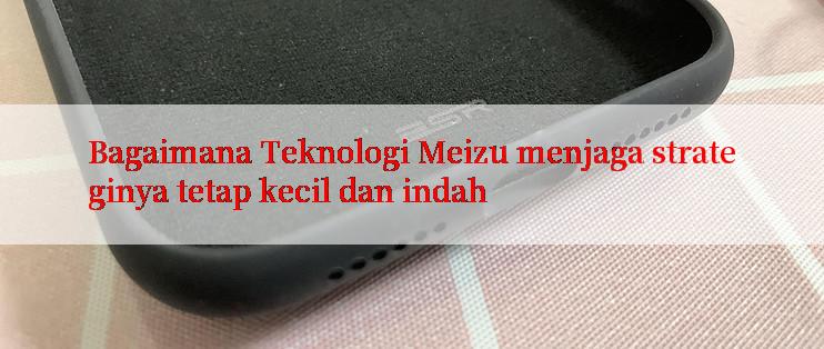 Bagaimana Teknologi Meizu menjaga strateginya tetap kecil dan indah