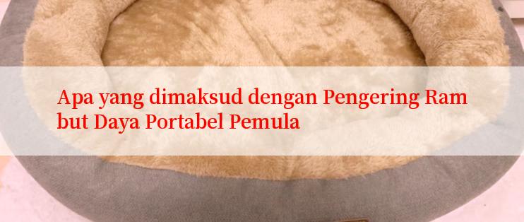 Apa yang dimaksud dengan Pengering Rambut Daya Portabel Pemula