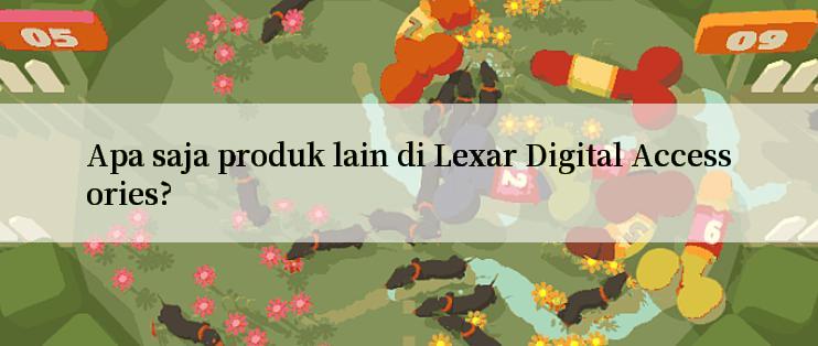 Apa saja produk lain di Lexar Digital Accessories?