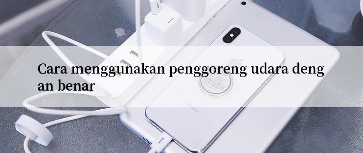 Cara menggunakan penggoreng udara dengan benar