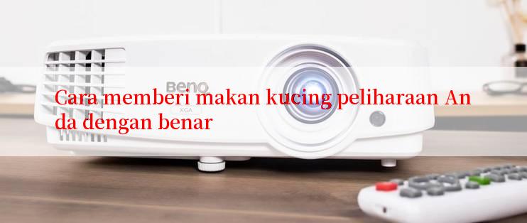 Cara memberi makan kucing peliharaan Anda dengan benar