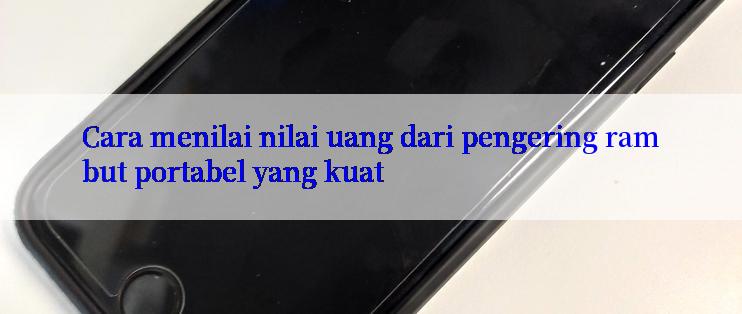 Cara menilai nilai uang dari pengering rambut portabel yang kuat