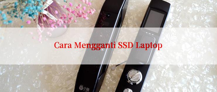 Cara Mengganti SSD Laptop