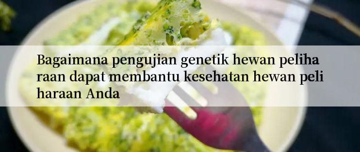 Bagaimana pengujian genetik hewan peliharaan dapat membantu kesehatan hewan peliharaan Anda