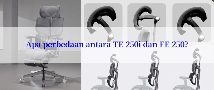 Apa perbedaan antara TE 250i dan FE 250?