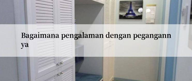 Bagaimana pengalaman dengan pegangannya