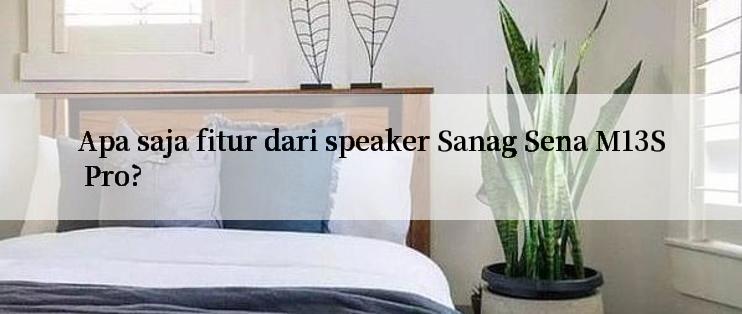 Apa saja fitur dari speaker Sanag Sena M13S Pro?