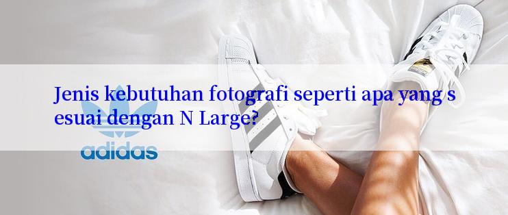 Jenis kebutuhan fotografi seperti apa yang sesuai dengan N Large?