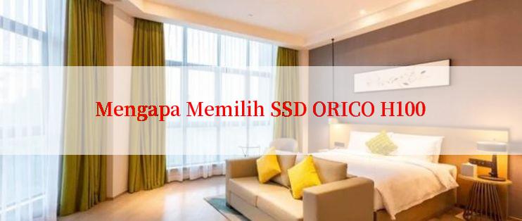 Mengapa Memilih SSD ORICO H100