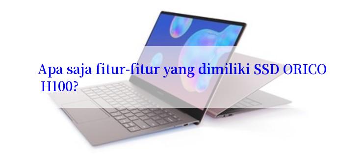 Apa saja fitur-fitur yang dimiliki SSD ORICO H100?