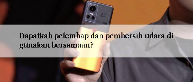 Dapatkah pelembap dan pembersih udara digunakan bersamaan?