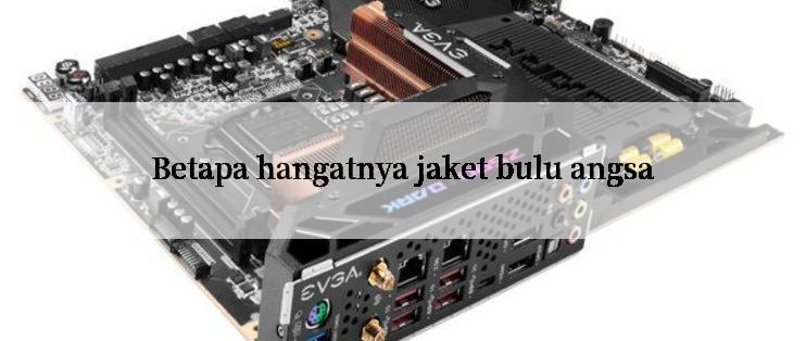 Betapa hangatnya jaket bulu angsa