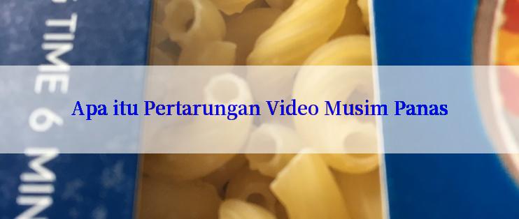 Apa itu Pertarungan Video Musim Panas