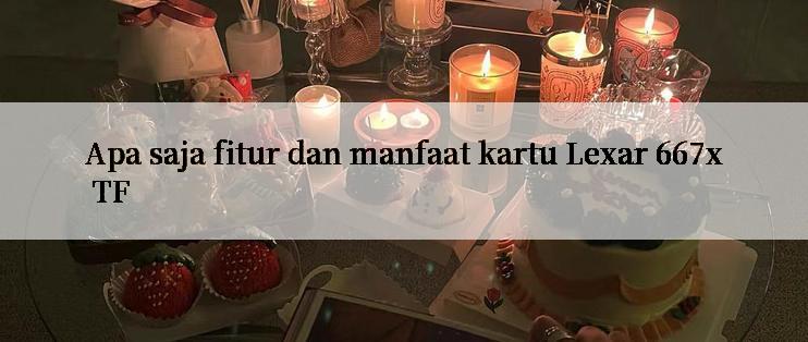 Apa saja fitur dan manfaat kartu Lexar 667x TF