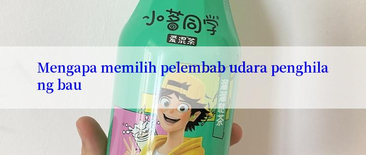 Mengapa memilih pelembab udara penghilang bau