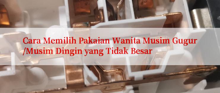 Cara Memilih Pakaian Wanita Musim Gugur/Musim Dingin yang Tidak Besar