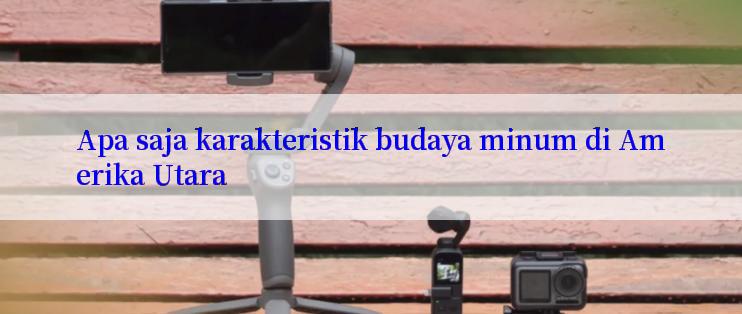 Apa saja karakteristik budaya minum di Amerika Utara