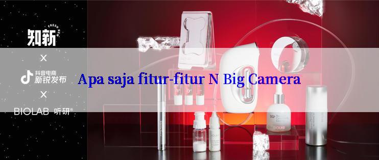 Apa saja fitur-fitur N Big Camera