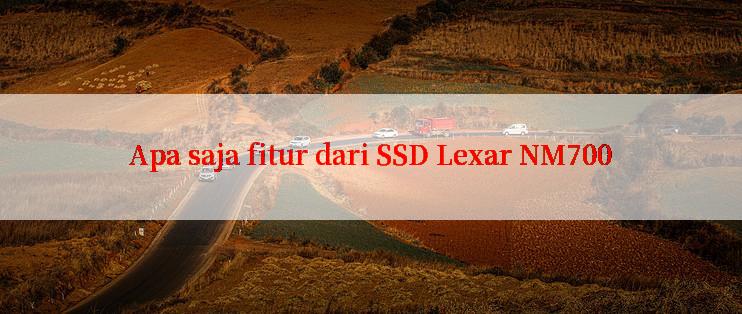 Apa saja fitur dari SSD Lexar NM700