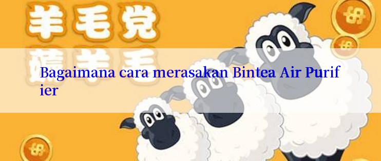 Bagaimana cara merasakan Bintea Air Purifier