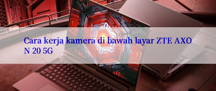 Cara kerja kamera di bawah layar ZTE AXON 20 5G